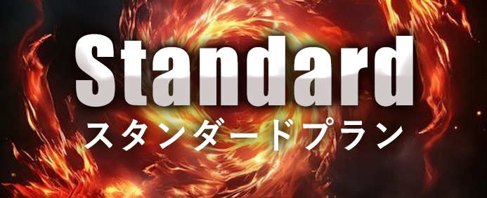 Standard スタンダードプラン